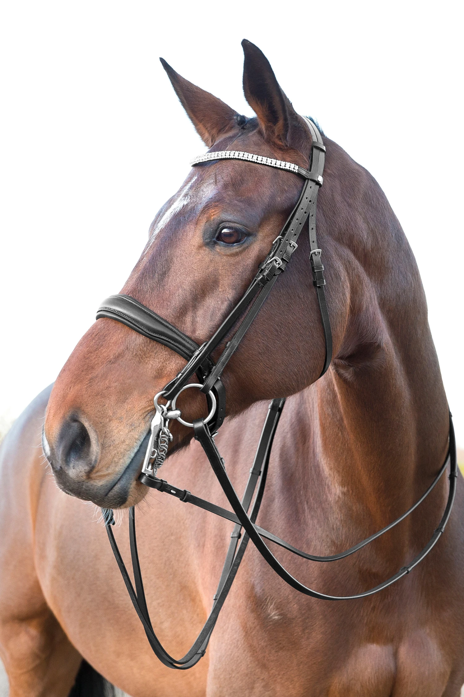 Horze Laelia Kandarenzaum 1 Horze Laelia Kandarenzaum