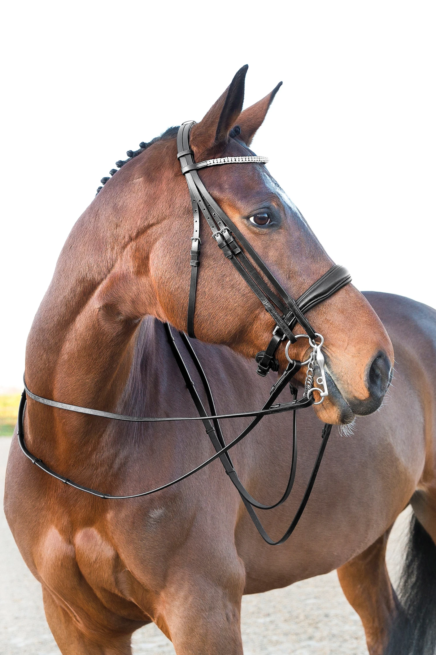 Horze Laelia Kandarenzaum 2 Horze Laelia Kandarenzaum – Bild 2