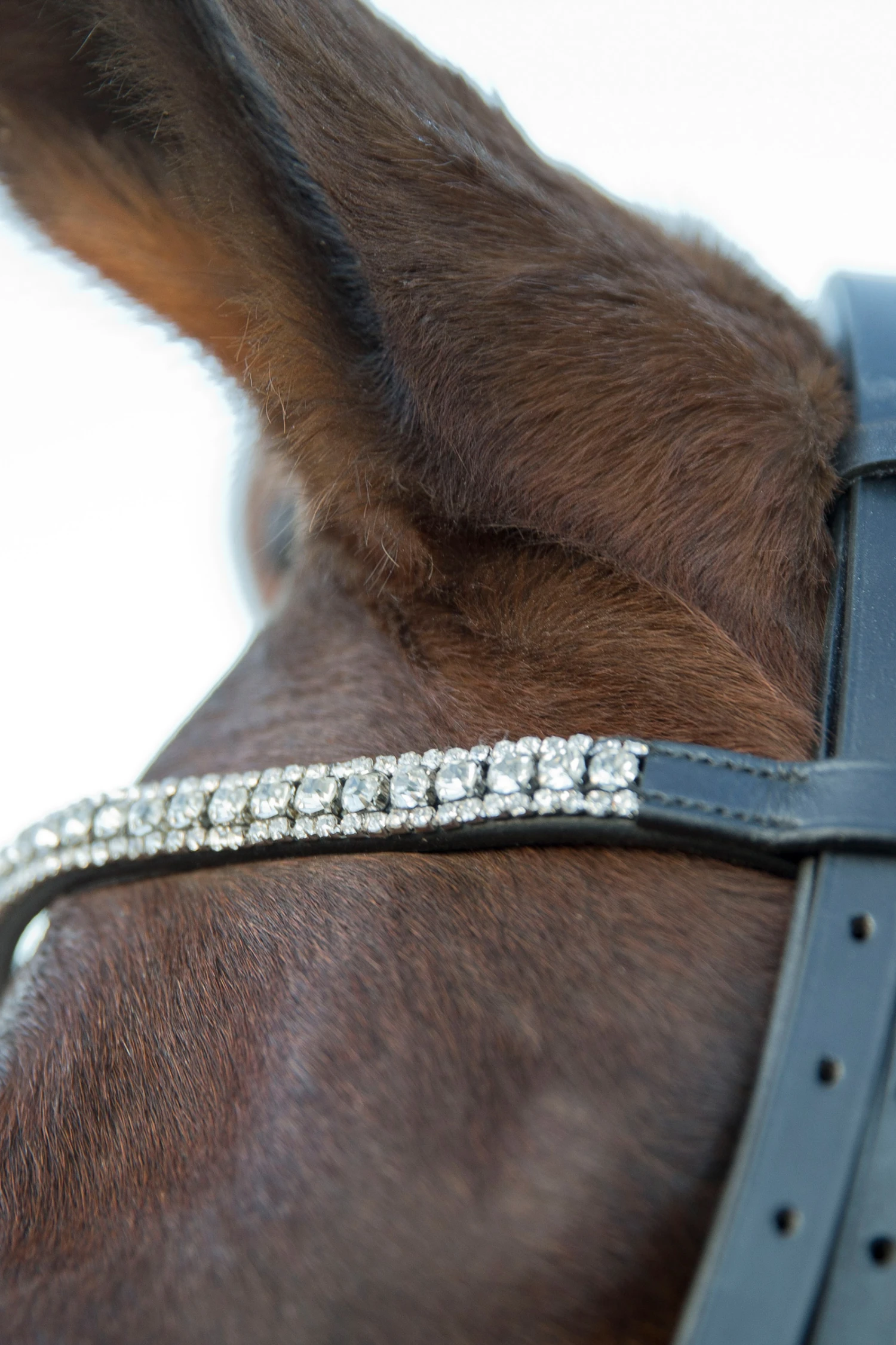 Horze Laelia Kandarenzaum 3 Horze Laelia Kandarenzaum – Bild 3