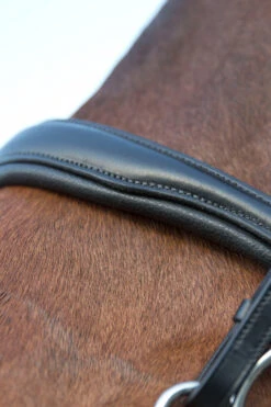 Horze Laelia Kandarenzaum 8 Horze Laelia Kandarenzaum -Cavallo Verkäufe 10001 BL 04