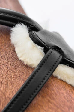 Horze Prescott Mexikanische Trense -Cavallo Verkäufe 10012 BL 04