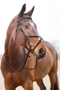 Horze Prescott Mexikanische Trense -Cavallo Verkäufe 10012 BR 03