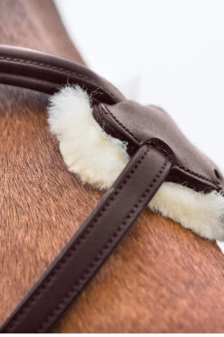 Horze Prescott Mexikanische Trense -Cavallo Verkäufe 10012 BR 04