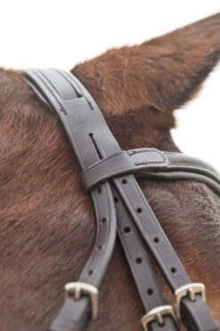 Horze Prescott Mexikanische Trense -Cavallo Verkäufe 10012 BR 05