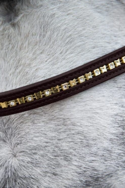 Horze Weston Trense 13 Horze Weston Trense -Cavallo Verkäufe 10017 BR 03