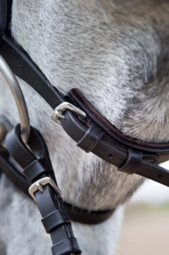 Horze Weston Trense 14 Horze Weston Trense -Cavallo Verkäufe 10017 BR 04