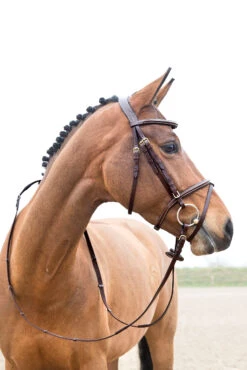 Horze Constance Weich Unterlegte Trense -Cavallo Verkäufe 10040 LBR 02