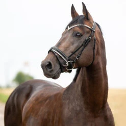 Horze Grayson Anatomische Trense -Cavallo Verkäufe 10084 BL 1