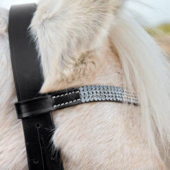 Horze Pony Trense -Cavallo Verkäufe 10104 BL LB 2