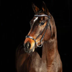 Horze Bergen Remont Trense 9 Horze Bergen Remont Trense -Cavallo Verkäufe 10109 BR 1