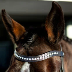 Horze Bergen Remont Trense 10 Horze Bergen Remont Trense -Cavallo Verkäufe 10109 BR 2