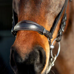 Horze Bergen Remont Trense 11 Horze Bergen Remont Trense -Cavallo Verkäufe 10109 BR 3