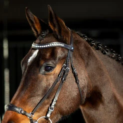 Horze Bergen Remont Trense 12 Horze Bergen Remont Trense -Cavallo Verkäufe 10109 BR 4