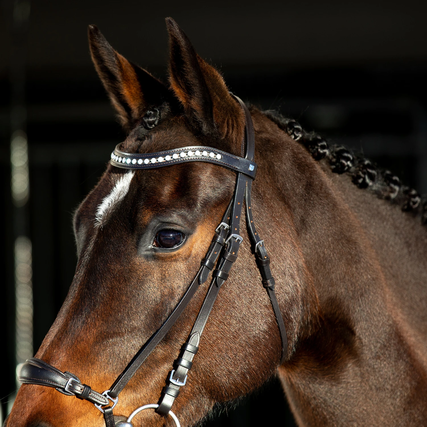 Horze Bergen Remont Trense 6 Horze Bergen Remont Trense – Bild 6