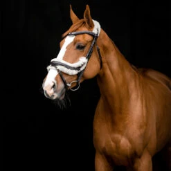 Horze Rome Anatomische Trense -Cavallo Verkäufe 10118 DBR 4