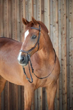 Horze Orlando Anatomische Kombinierte Gebisslose Trense -Cavallo Verkäufe 10125 BR 5