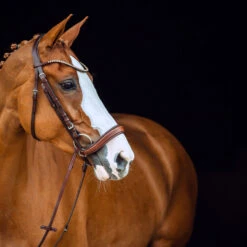 Horze Positano Anatomische Hannoveranische Trense -Cavallo Verkäufe 10126 BR 3