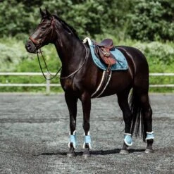 Horze Positano Anatomische Hannoveranische Trense -Cavallo Verkäufe 10126 BR 4