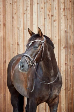 Horze Somerset Anatomische Trense 15 Horze Somerset Anatomische Trense -Cavallo Verkäufe 10156 DBR 4