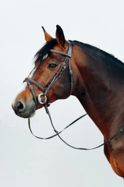 Horze Buxton Anatomische Trense Mit Zügeln -Cavallo Verkäufe 10158 BR 3