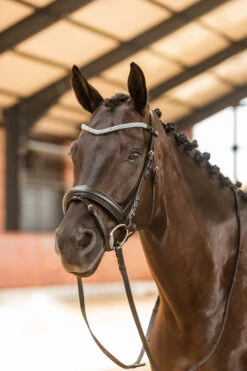 Horze Columbia Stirnriemen Mit Kristallen -Cavallo Verkäufe 10169 BL DB 4