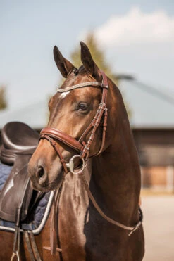 Horze Columbia Stirnriemen Mit Kristallen -Cavallo Verkäufe 10169 BR GO 4