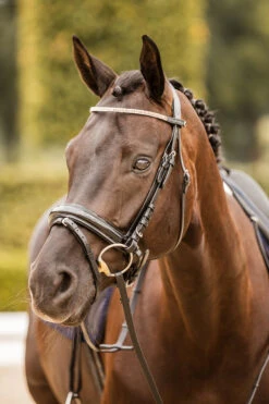 Horze Nancy Stirnriemen Mit Kristallen Und Flechtdetail -Cavallo Verkäufe 10170 bl rgo 05