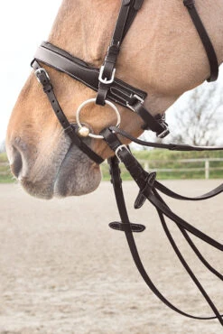Horze Sparta Schlaufzügel Aus Nylon/Leder -Cavallo Verkäufe 10614 dbr 03