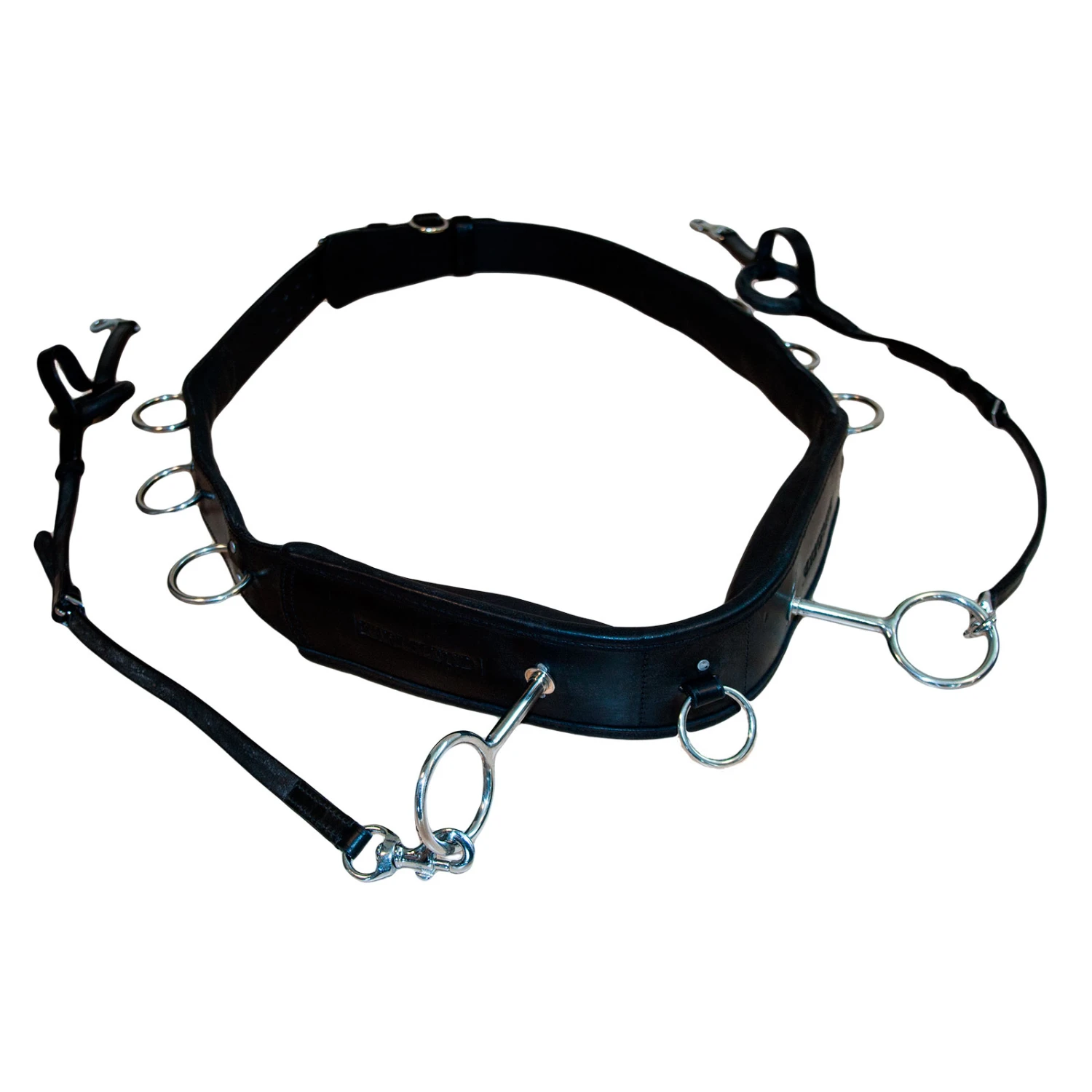 Karlslund Longiergurt 1 Karlslund Longiergurt