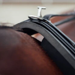 Finntack Elite Synthetic Training Saddle With Pad -Cavallo Verkäufe 11219 BL 6