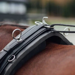 Finntack Elite Synthetic Training Saddle With Pad -Cavallo Verkäufe 11219 BL 8