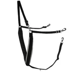 Finntack Breiter Y-förmiger Brustriemen Mit Biese -Cavallo Verkäufe 11424 BL BL WH 1