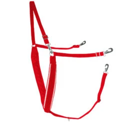 Finntack Breiter Y-förmiger Brustriemen Mit Biese -Cavallo Verkäufe 11424 RE RE WH 1