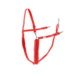 Finntack Breiter Y-förmiger Brustriemen Mit Biese -Cavallo Verkäufe 11424 RE WH 1