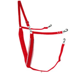 Finntack Breiter Y-förmiger Brustriemen Mit Biese -Cavallo Verkäufe 11424 RE WH DB 1