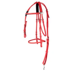 Kompletter Synthetischer Zaum, 100% Beta 5 Kompletter Synthetischer Zaum, 100% Beta -Cavallo Verkäufe 11590 RE 1