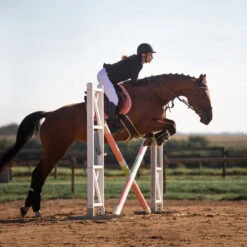 Horze Atlanta Stollenschutz-Sattelgurt Mit Fleecefutter -Cavallo Verkäufe 14677 DBR 4