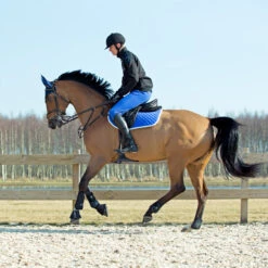 Horze Chooze Vielseitigkeitsschabracke -Cavallo Verkäufe 17000 LLB 2