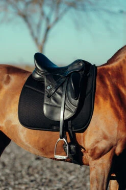 Horze Phoenix Dressurschabracke -Cavallo Verkäufe 17295 BL 4