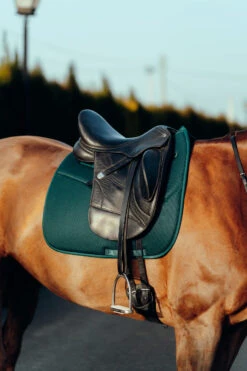 Horze Phoenix Dressurschabracke -Cavallo Verkäufe 17295 stgr 04