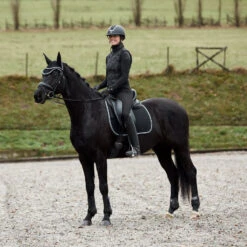 Horze Adepto Vielseitigkeitsschabracke -Cavallo Verkäufe 17343 BL 5