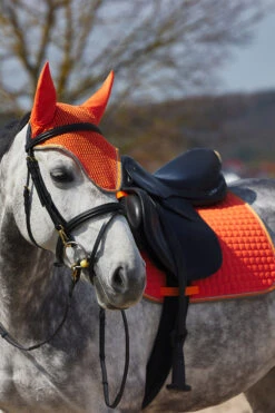 Horze Adepto Vielseitigkeitsschabracke -Cavallo Verkäufe 17343 cgo 04