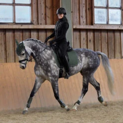 Horze Adepto Dressurschabracke -Cavallo Verkäufe 17353 BKGR 7