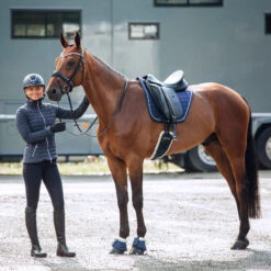 Horze Lincoln Dressurschabracke 11 Horze Lincoln Dressurschabracke -Cavallo Verkäufe 17396 DRB 5