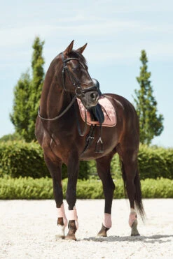 Horze Coventry Dressurschabracke -Cavallo Verkäufe 17417 CPI 3