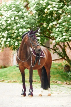 Horze Monster Pony Schabracke Mit Bestickung -Cavallo Verkäufe 17422 FPU 5