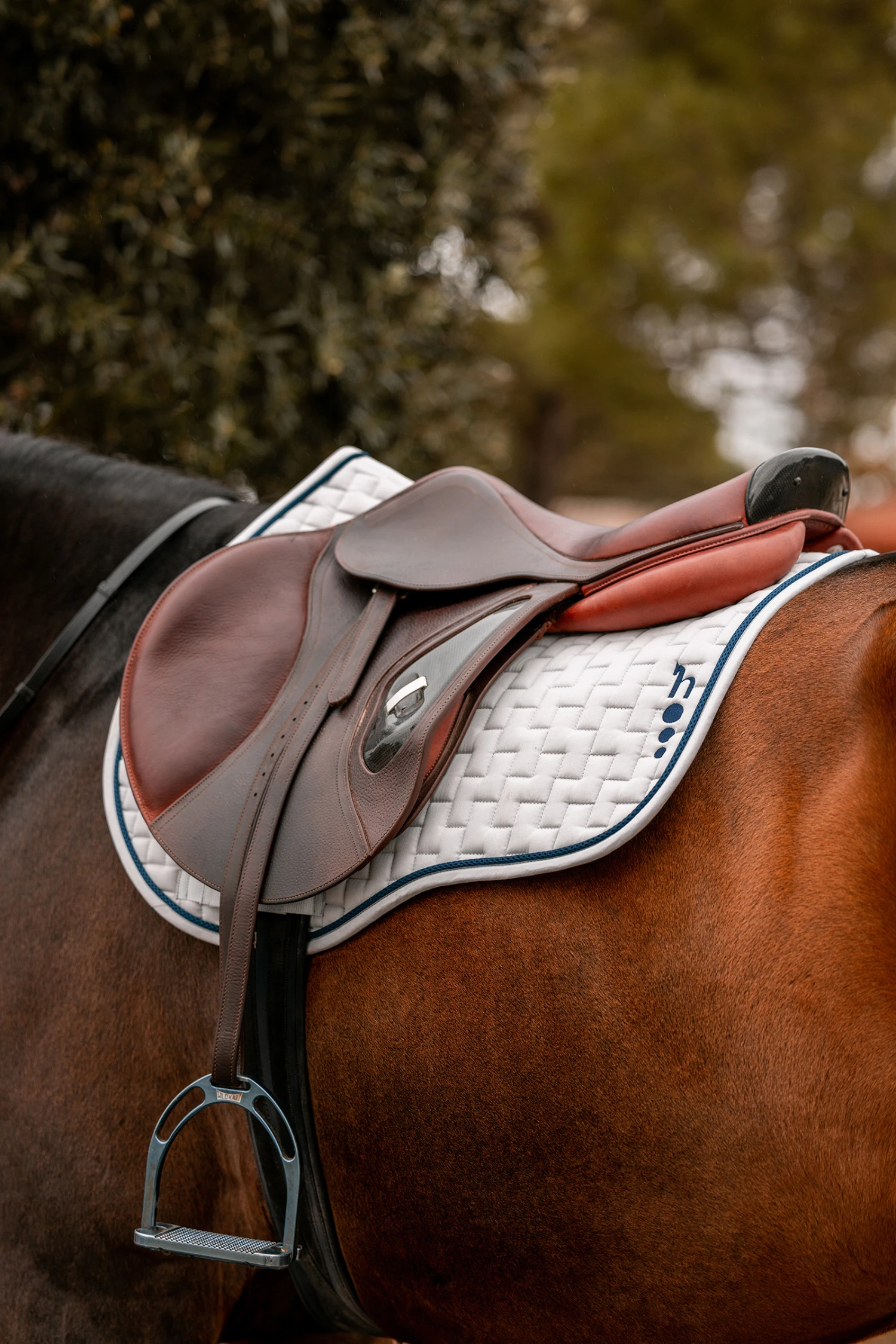 Horze Wicklow Vielseitigkeitsschabracke 6 Horze Wicklow Vielseitigkeitsschabracke – Bild 6