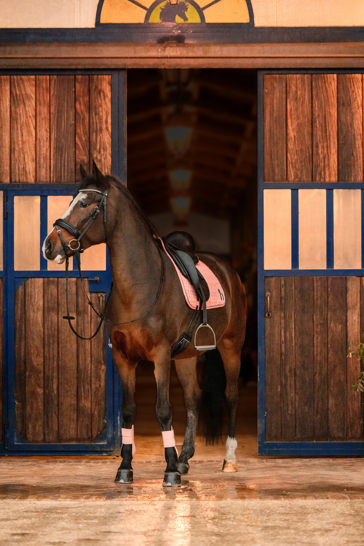 Horze Trixi Pony Vielseitigkeitsschabracke 5 Horze Trixi Pony Vielseitigkeitsschabracke – Bild 5