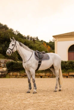 Horze Navajo Vielseitigkeitsschabracke -Cavallo Verkäufe 17442 060 07