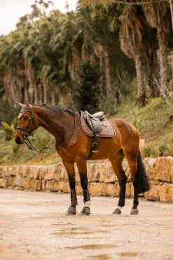 Horze Kenya Vielseitigkeitsschabracke -Cavallo Verkäufe 17444 753 07